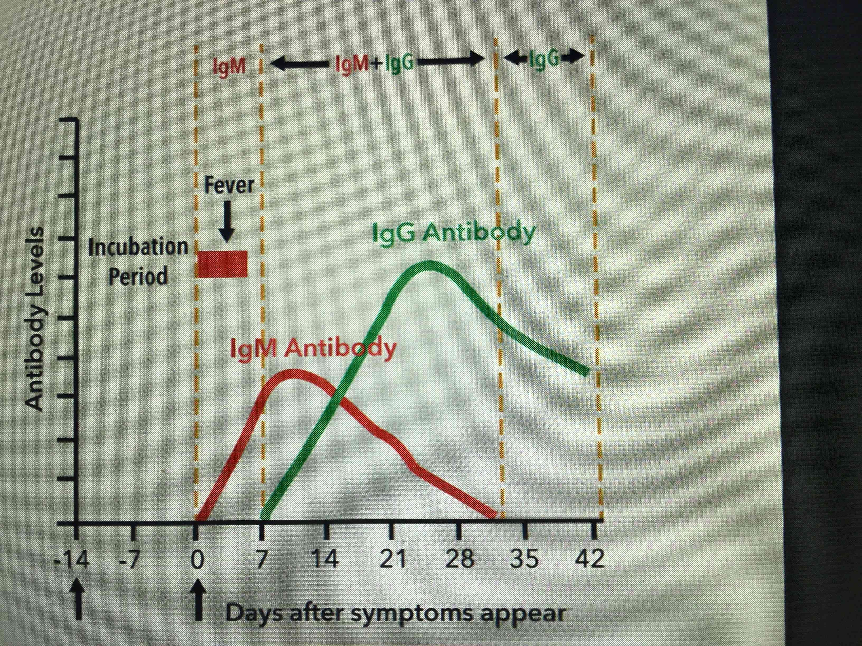 Covid-19 Virus antibodies IgM IgG