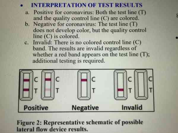 free rapid covid test