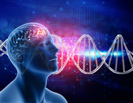 Selank Peptide for Anxiety and Stress Support